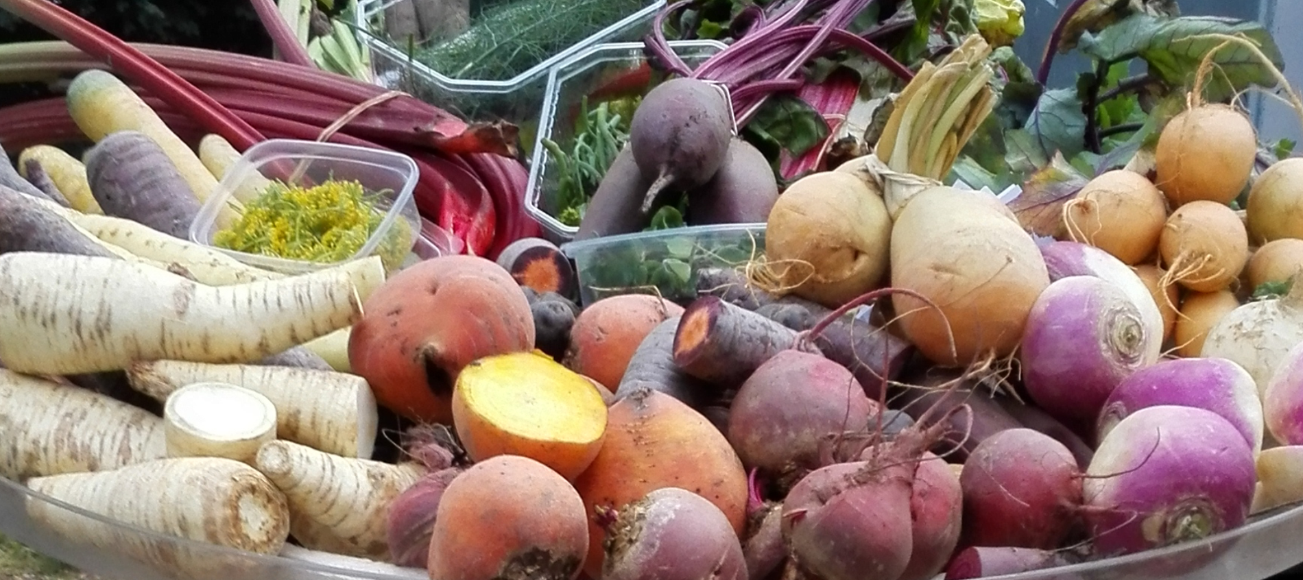 Special vegetables from the vegetable house of Bijzonder Brabants