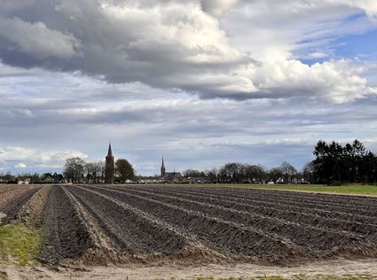 Doorstapwandeling 'De Hort op' Aarle-Rixtel