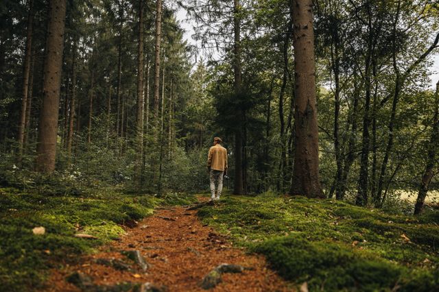 Een man wandelt met zijn fotocamera in een dichtbegroeid groen Drents bos.