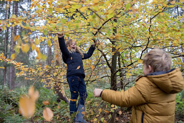 Broertje en zusje spelen in het bos tussen de herfstkleurige bomen.