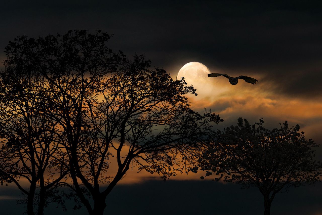 Nacht van de Nacht Helenaveen