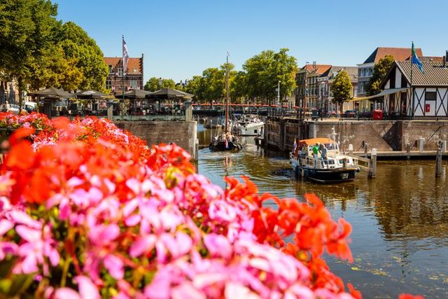 Zicht op de Lingehaven in Gorinchem met kleurrijke bloemen op de voorgrond, aangemeerde boten en historische gebouwen in de zon in het Groene Hart.