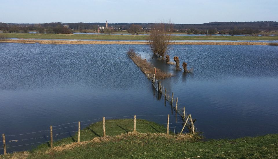 Overstroomde uiterwaarden langs de Rijn, tegenover Amerongen.