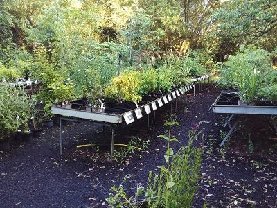 Tuin Toer 2025