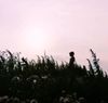 Boy in the wind thumnail