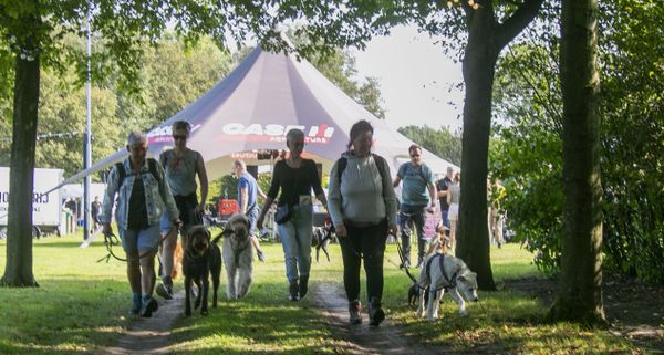 hondenwandeling