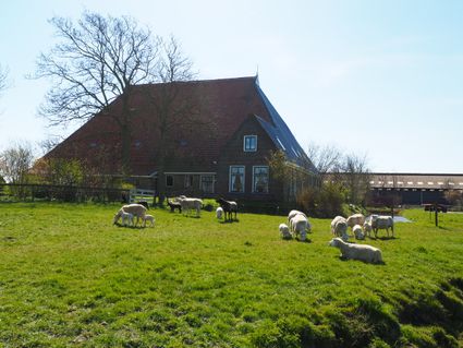 Boerderij Op Arkum