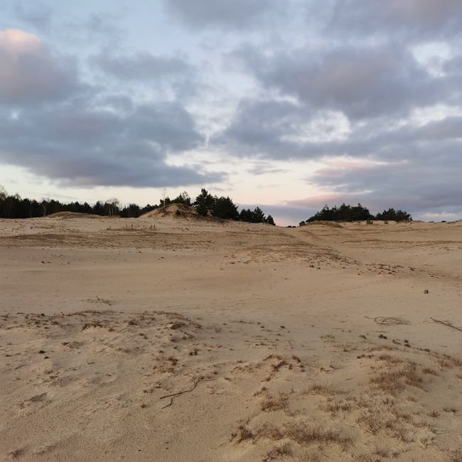 IVN Beekhuizerzand
