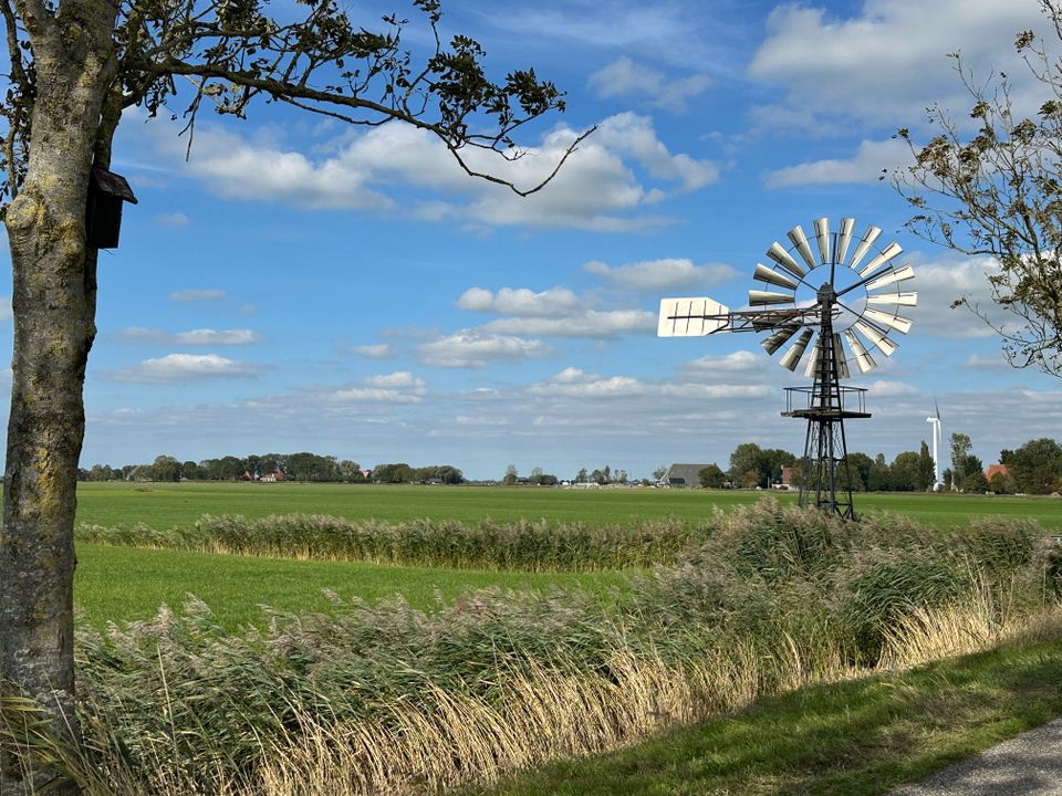 Bolsward-Hartwerd | Klooster Claercamppad: rondwandeling 2