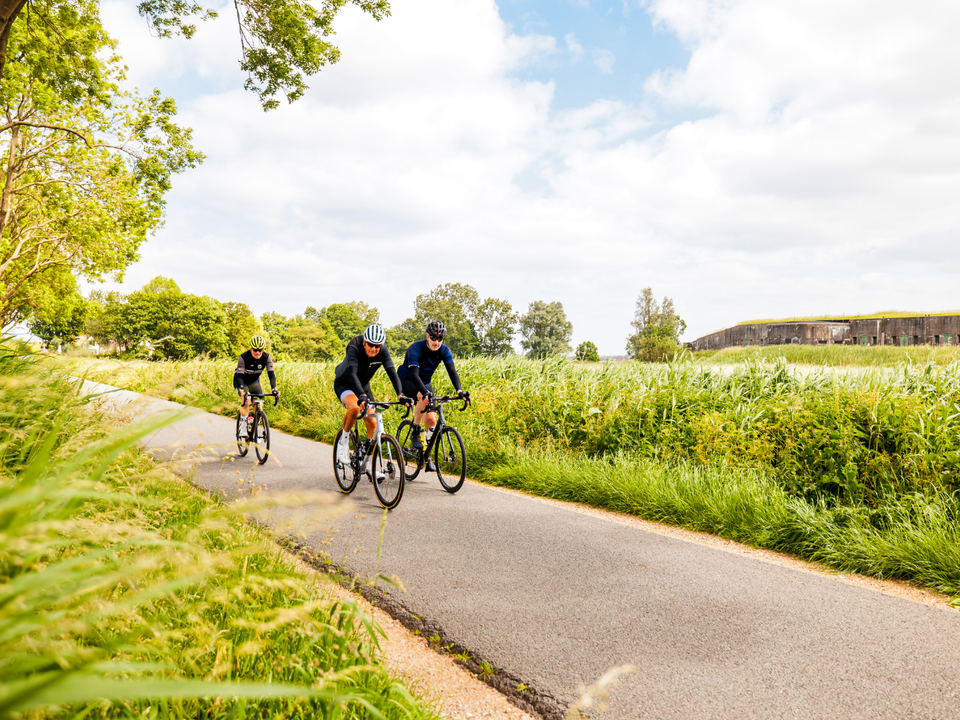 Fietsers door de natuur