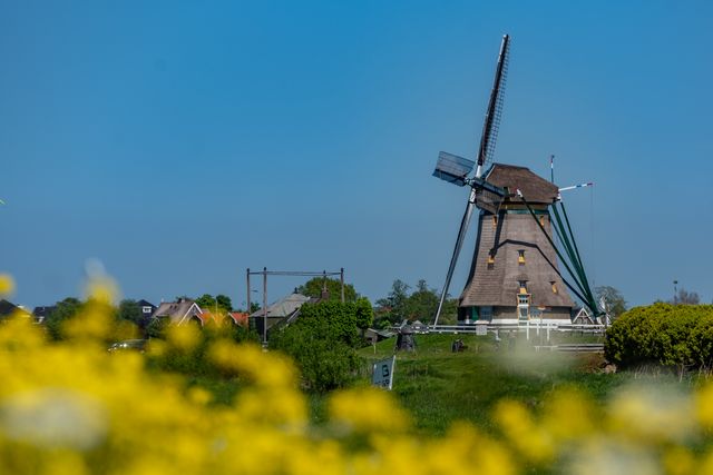 Een molen tussen de weilanden en het groen.