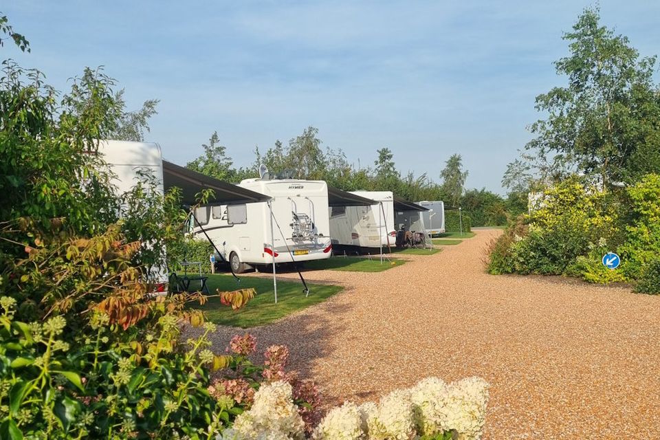 Een rij met campers op een camperpark met veel groen in Drenthe.