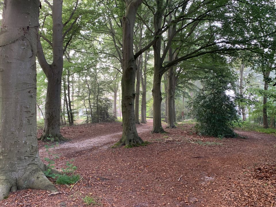 Oranjewoud