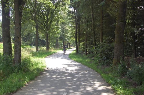 Fietspad in de Kempen