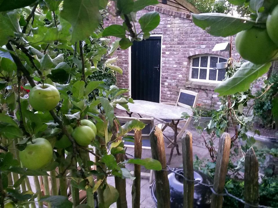 Doorkijkje naar een stenen gevel met deur en stalraampje. Ervoor staat een zitje. Op de voorgrond een houten hekje en een appelboompje met groene appels.