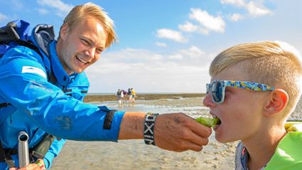 Wadproeverij Terschelling