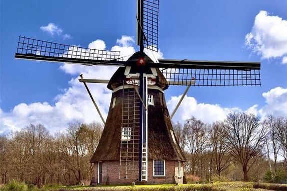 Molen de Zaandplatte