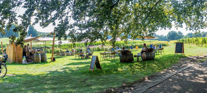 Wijnterras in de zon van De Holdeurn bij Berg en Dal, Nijmegen.