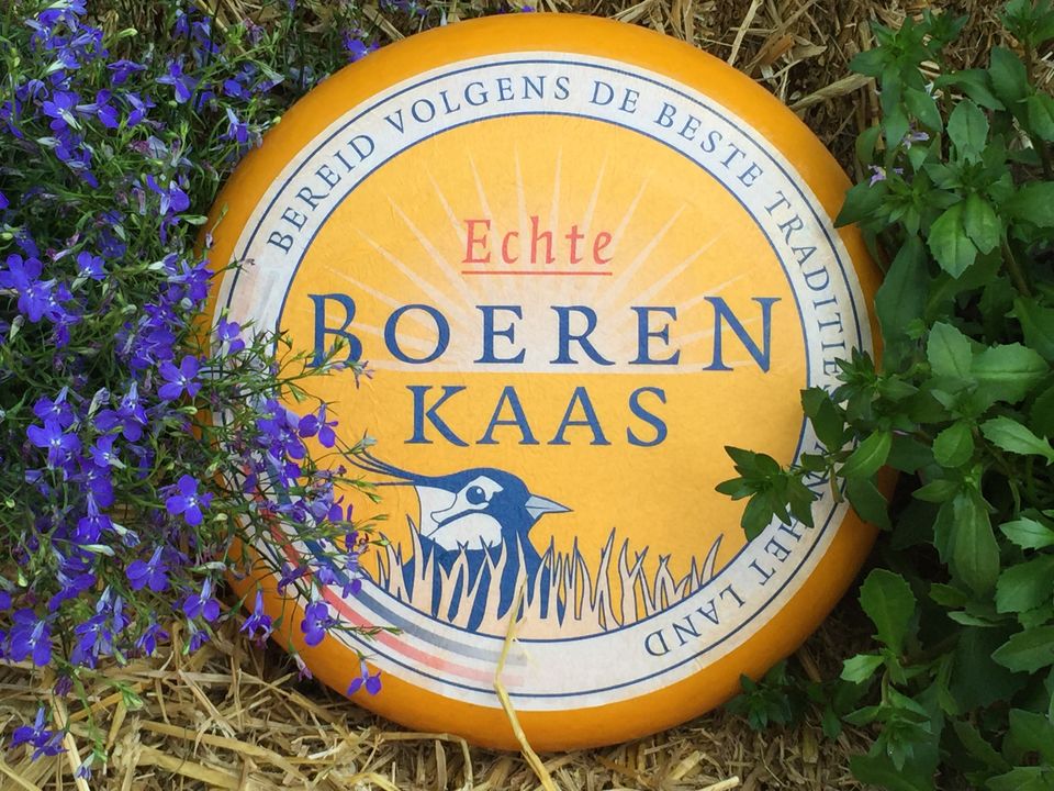 Boerenkaas