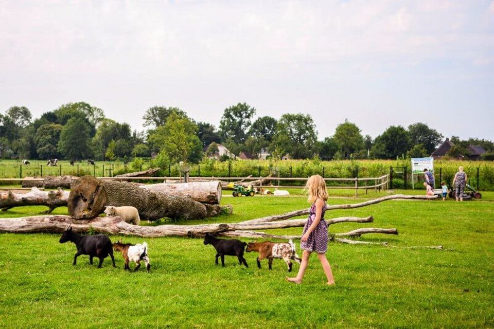 Meisje loopt door dierenweide met geiten en een schaap.