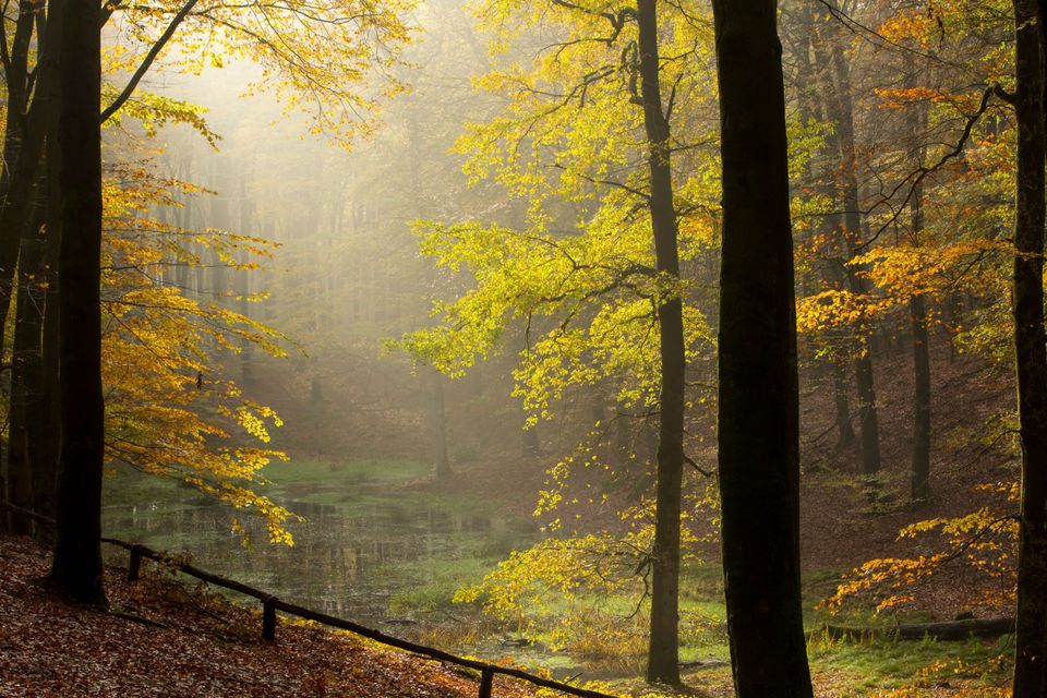 Solse Gat in de herfst