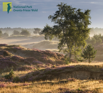 Drents Friese wold met logo