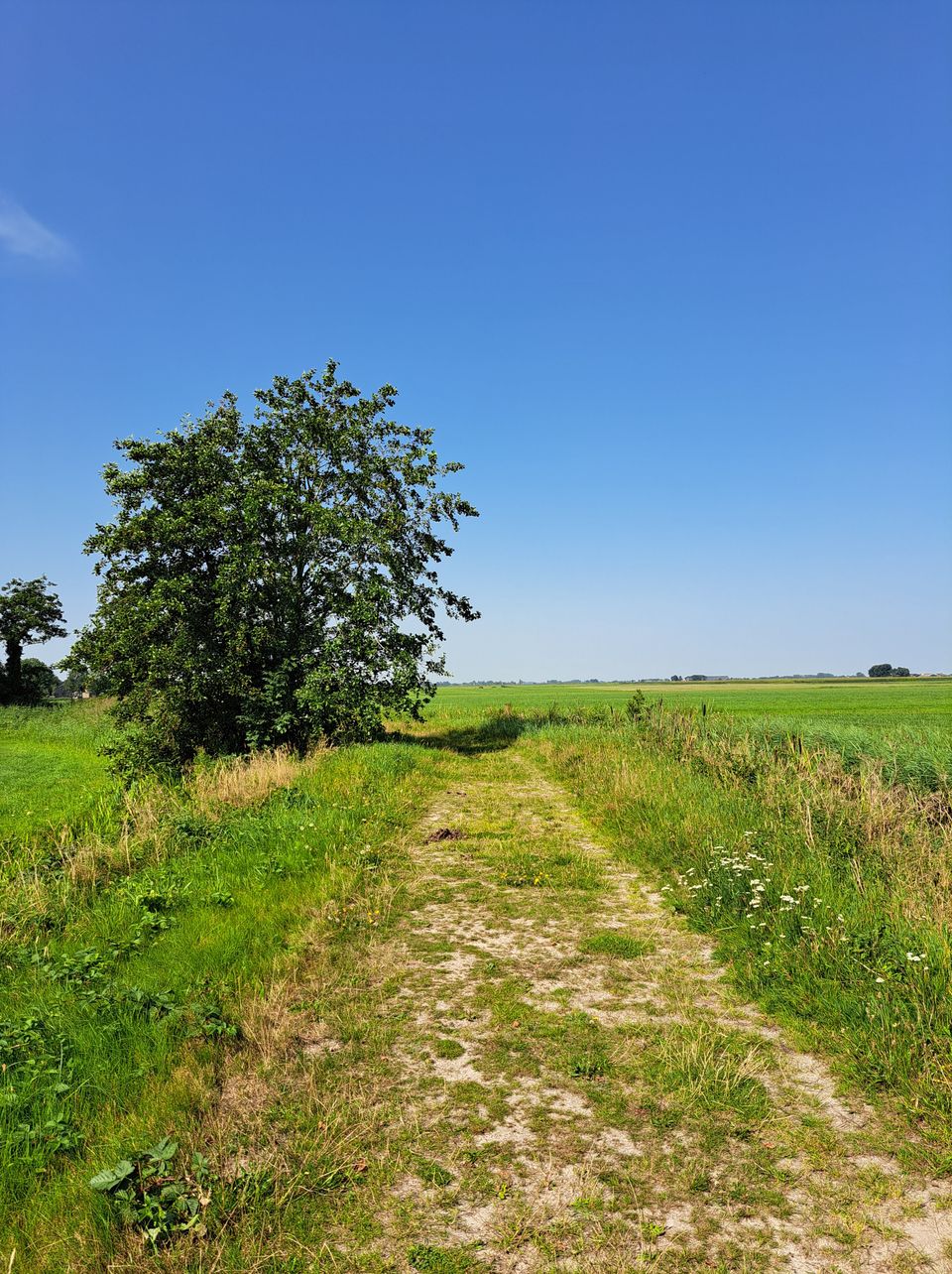 Oentsjerk en Gytsjerk: verken het open weidegebied