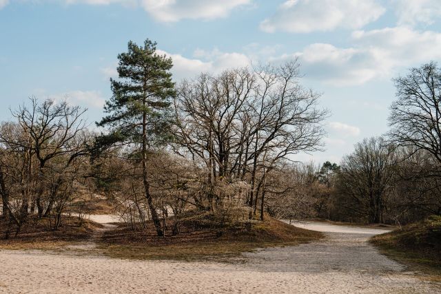 Vrachelse Heide Kloosterpad