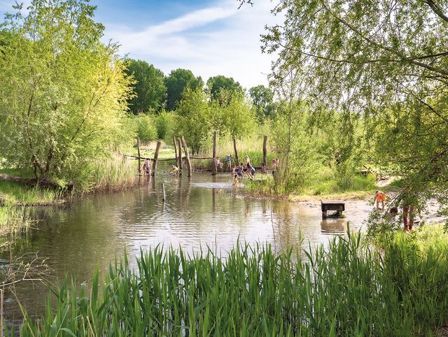 Belevenissenbos in de zomer met spelende kinderen.