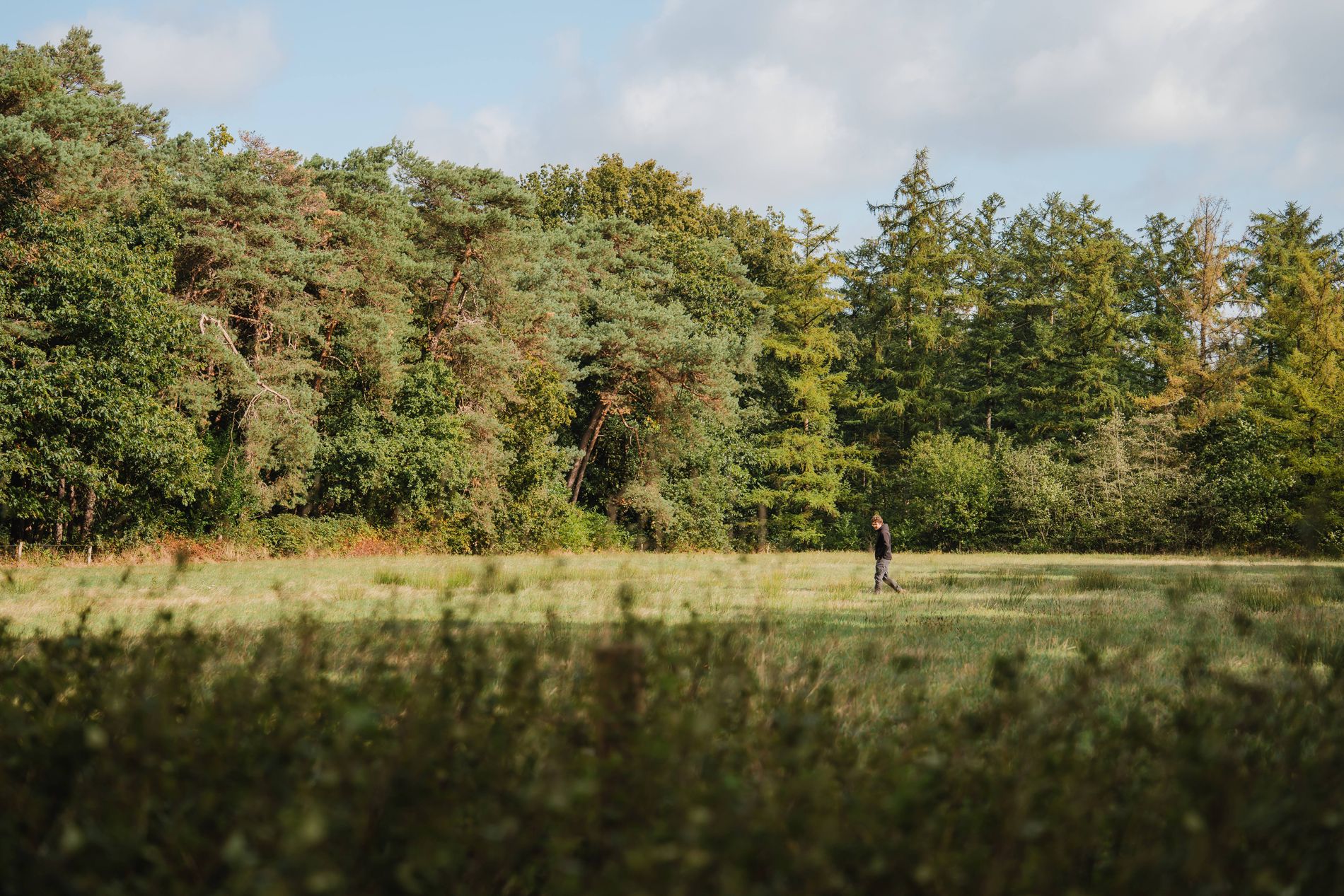 Vindplaats muntschat