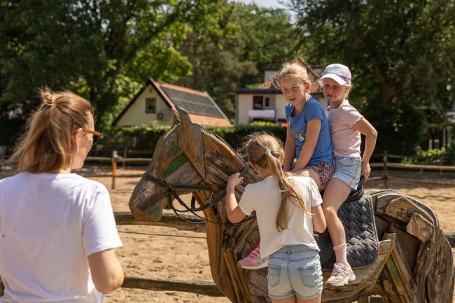 De Paardenkamp Soest 1