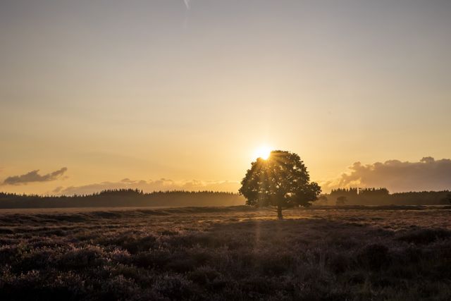 Zonsondergang over een open veld