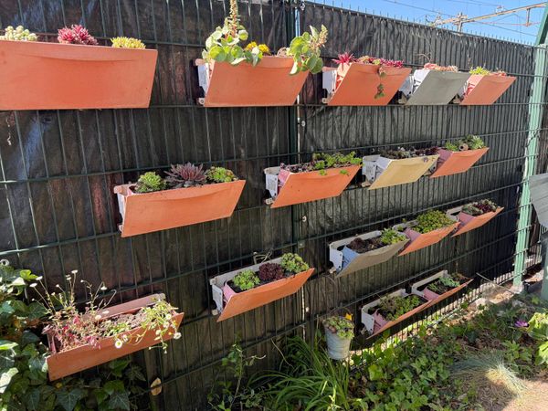 Station Deurne - Hangplanten moestuin
