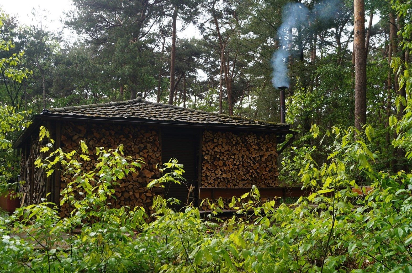 Ferienhaus Brabant Forest in Helmond