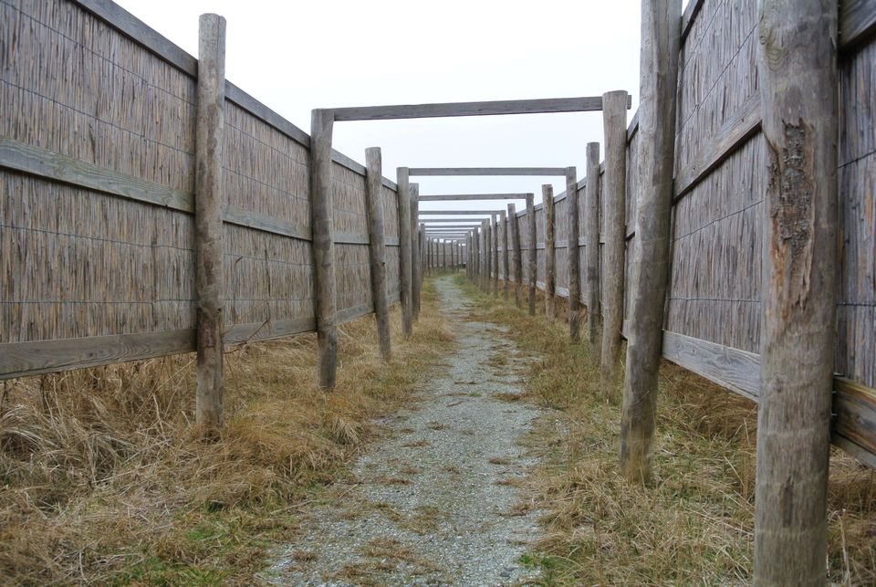 Ingang vogelkijkhut kroonspolder (Klein)