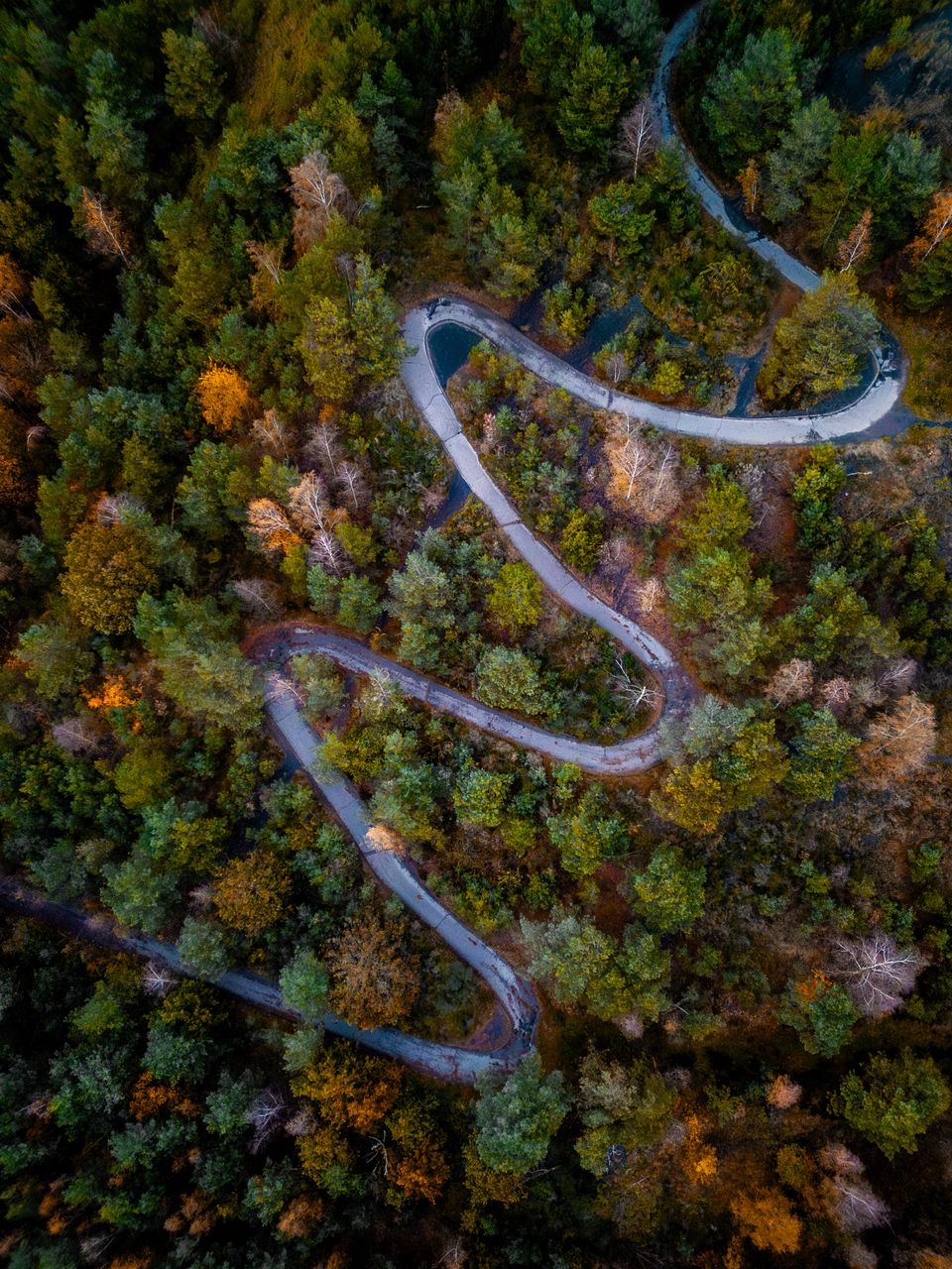Dronefoto van een slingerend wandelpad in Nationaal Park Hoge Kempen