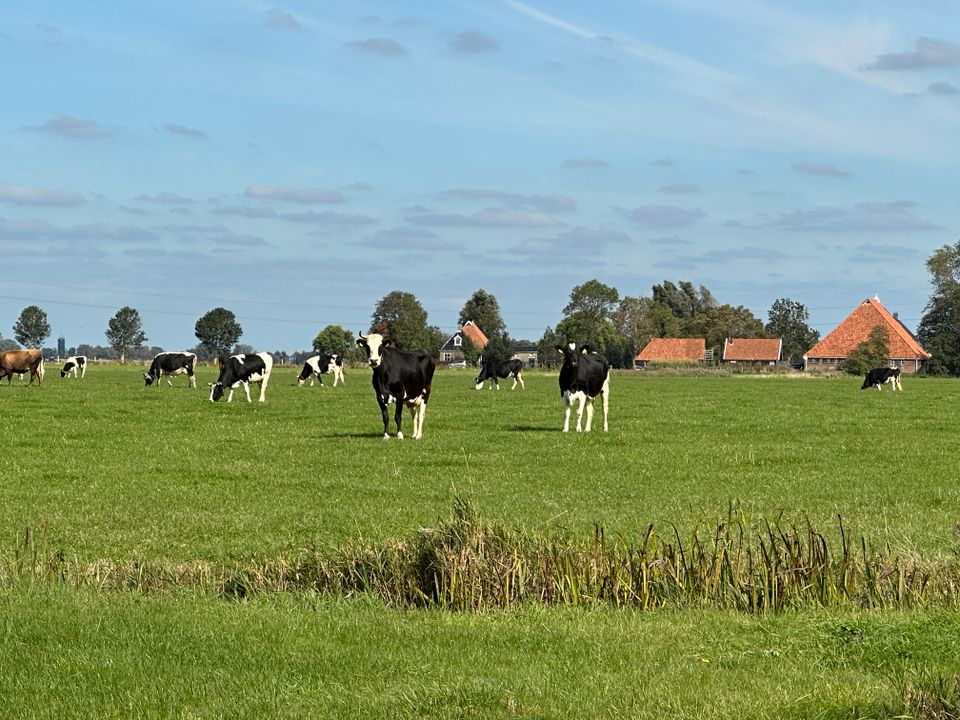 Bolsward-Hartwerd | Klooster Claercamppad: rondwandeling 2