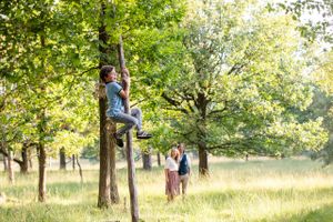 Jongetje in boom in Kampina