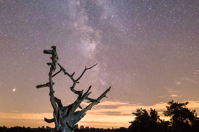 Der Sternenhimmel über dem Aekingerzand