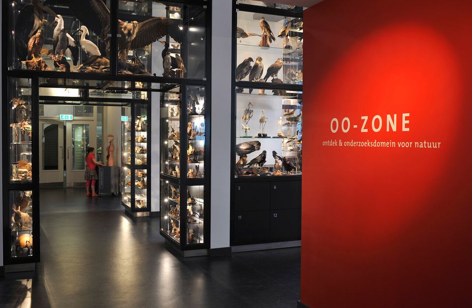 Natuurmuseum Brabant