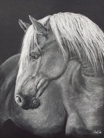 zwart-wit schilderij van een paard