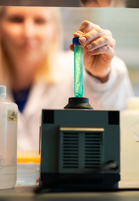 Tranendokter Marlies Gijs, Maastricht UMC+