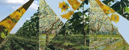 Van Gogh Nationaal Park in Noord-Brabant, een uniek landschap geïnspireerd door de werken en wandelingen van Vincent van Gogh, met aandacht voor natuurbehoud, duurzaamheid en cultuurhistorie
