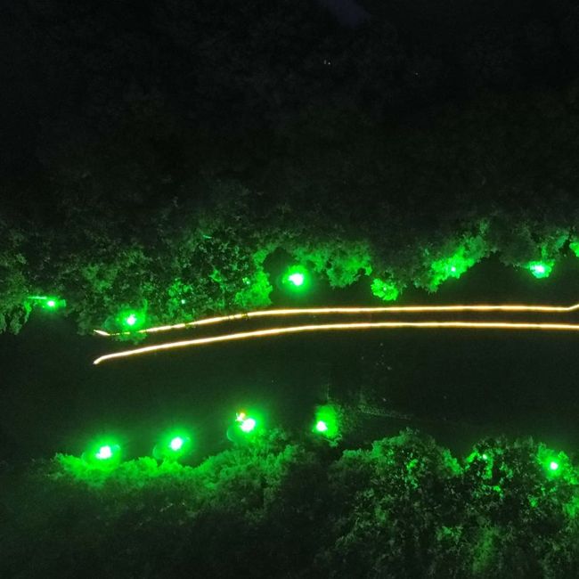 phpsll4bl0hl025eFIdHOF