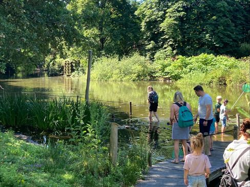 foto: Kinderboerderij Kienehoeve