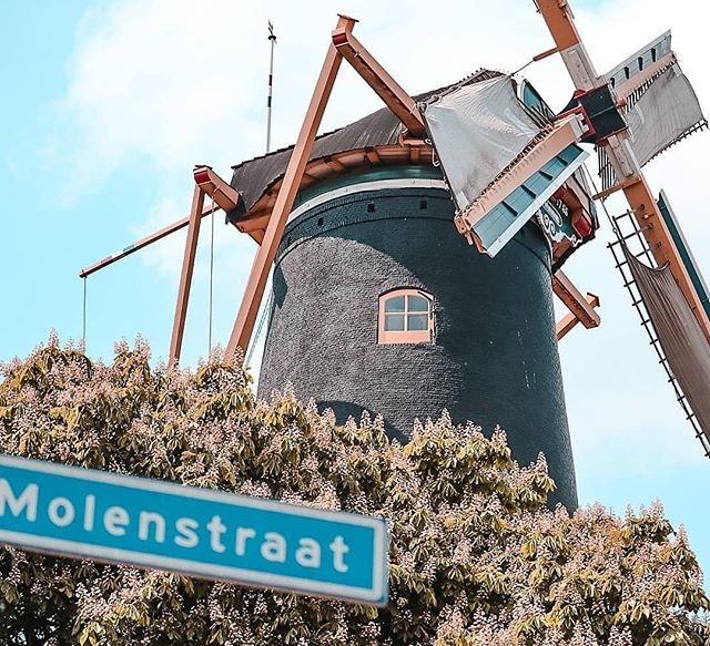 Uitzicht van onder op Molen de Windhond in Woerden met straatnaambord 'Molenstraat' en strakblauwe lucht.