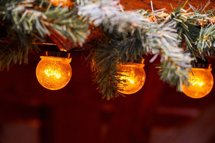 Kerstlampionnetjes voor dennentak