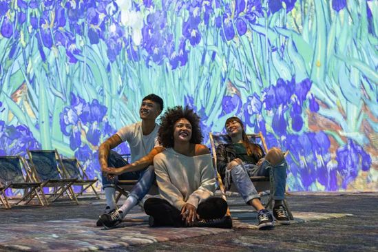 Van Gogh Experience