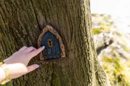 Het Elfjespad, beleefroute in Dwingeloo
