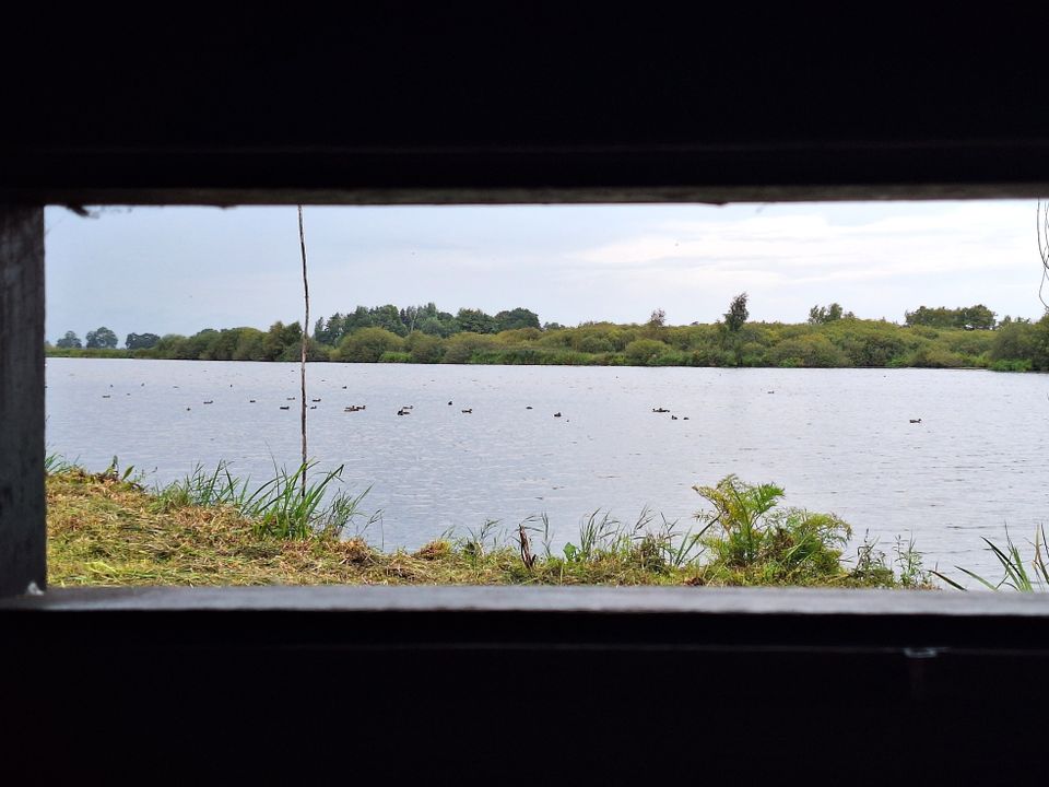 Wandelroute It Wikelslân | Nationaal Park De Alde Feanen